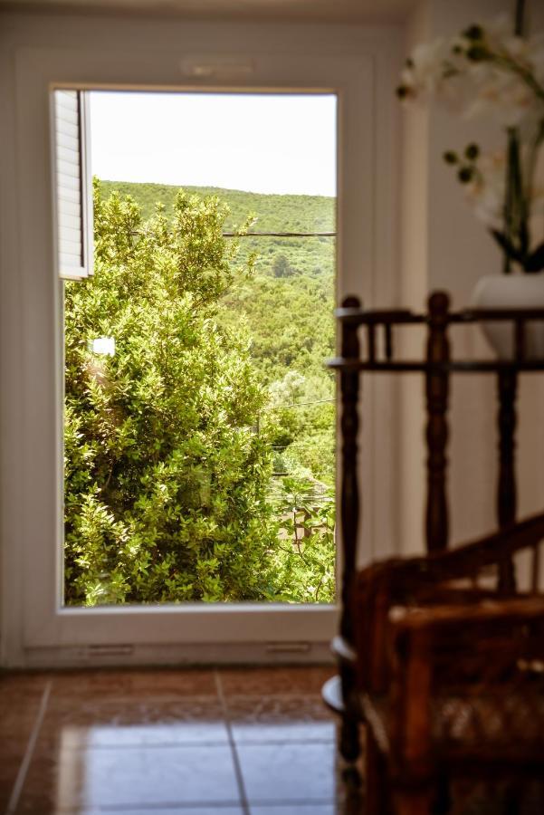 Apartment Nikola Kotor Ngoại thất bức ảnh