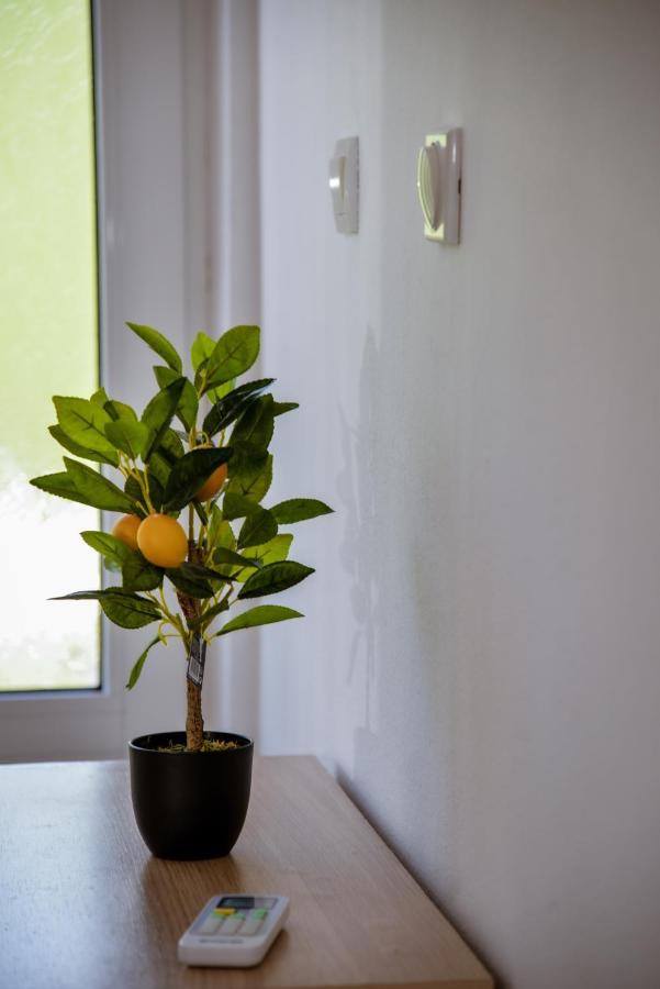 Apartment Nikola Kotor Ngoại thất bức ảnh